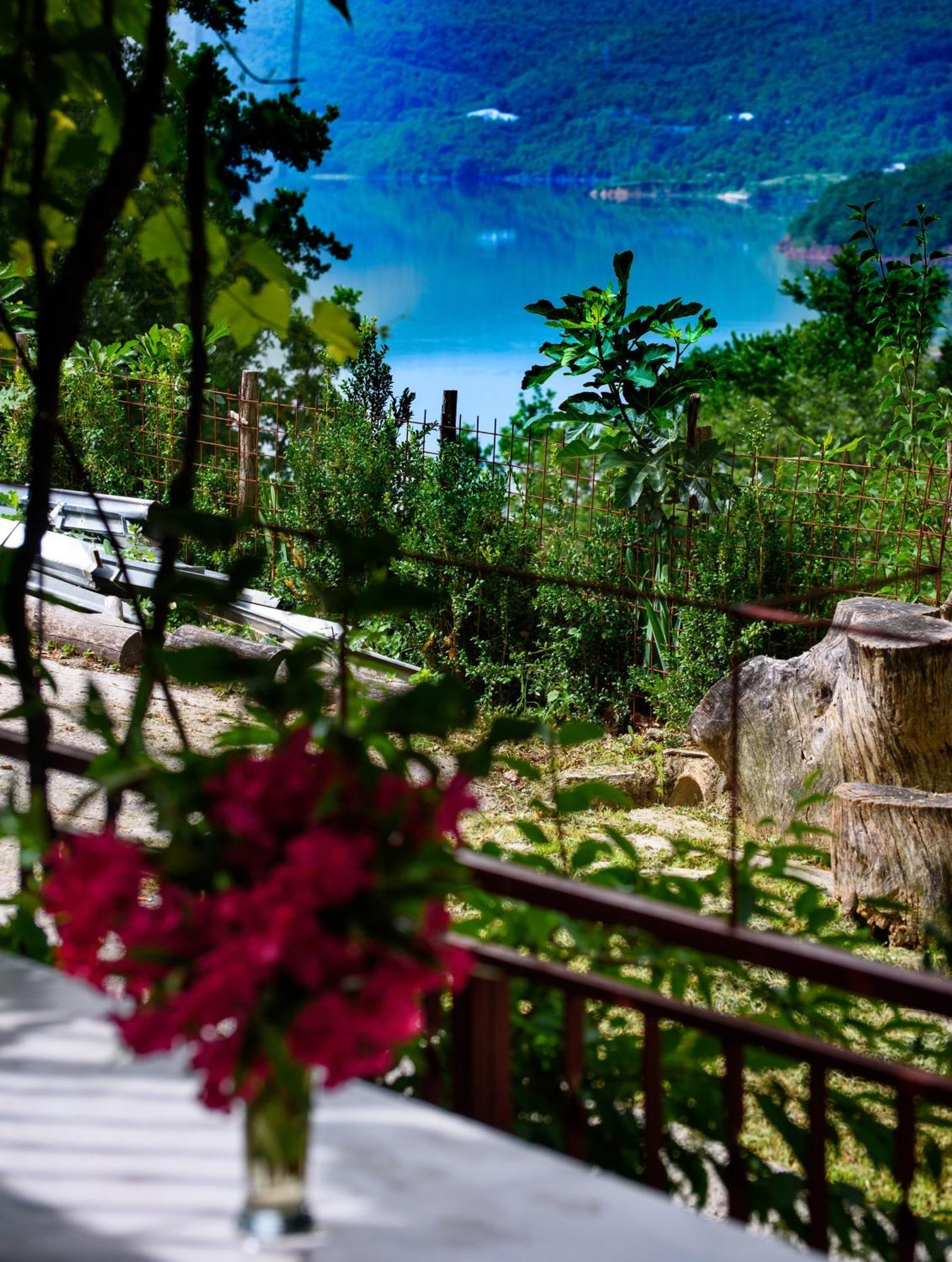 Apartments Cvitini Dvori Garjak Vrlika Экстерьер фото